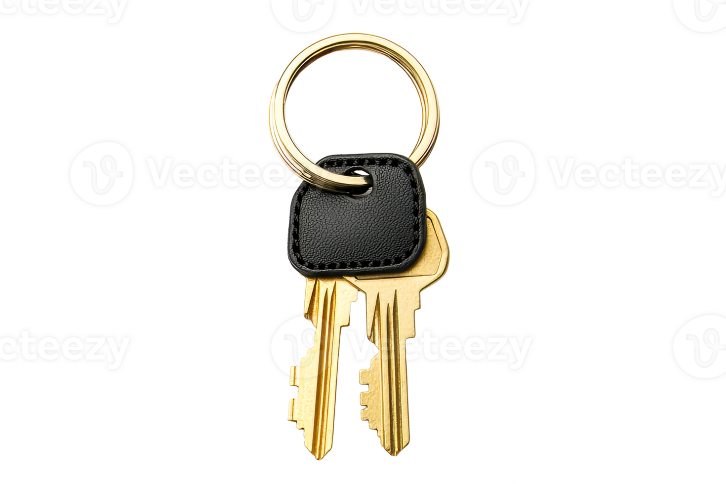 Keys on a metallic ring with leather holder png