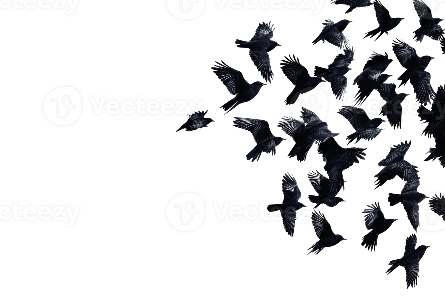 Black birds flying against clear sky png