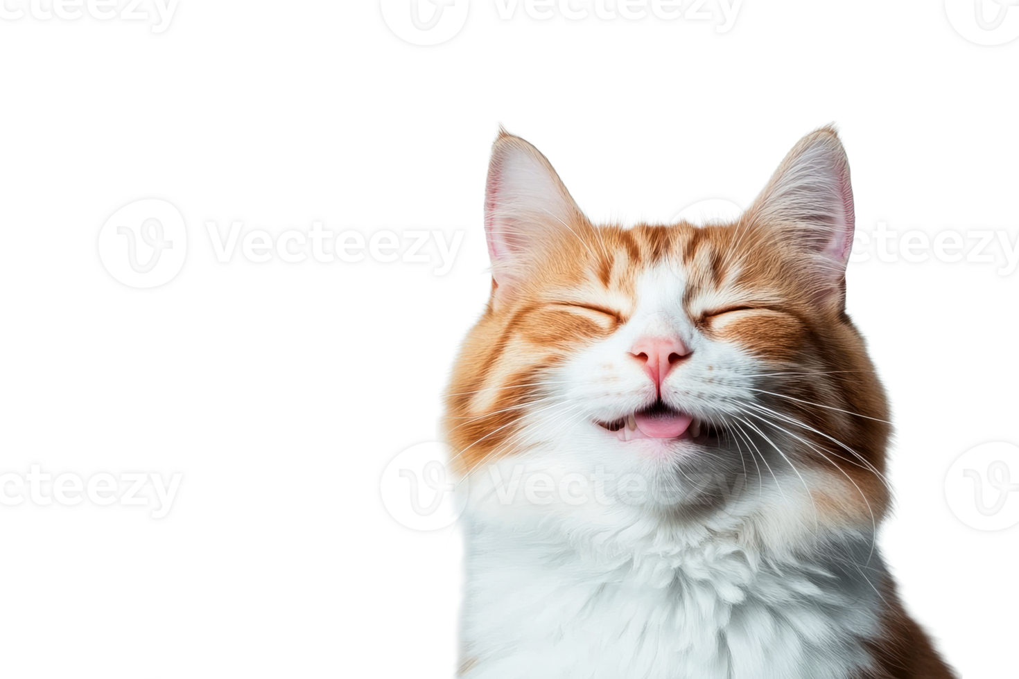 Playful orange cat with a happy expression png