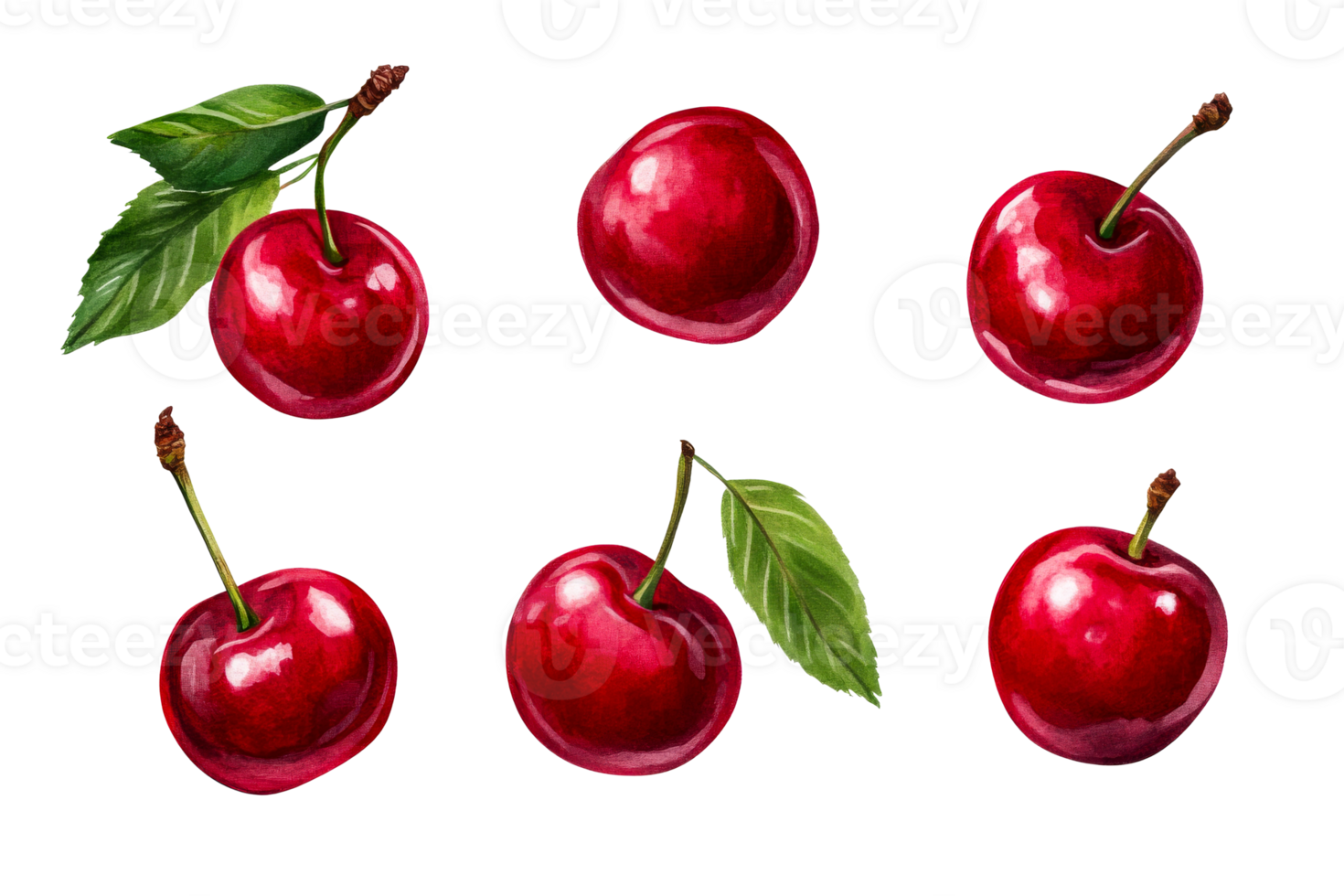Bright red cherries on a transparent background png
