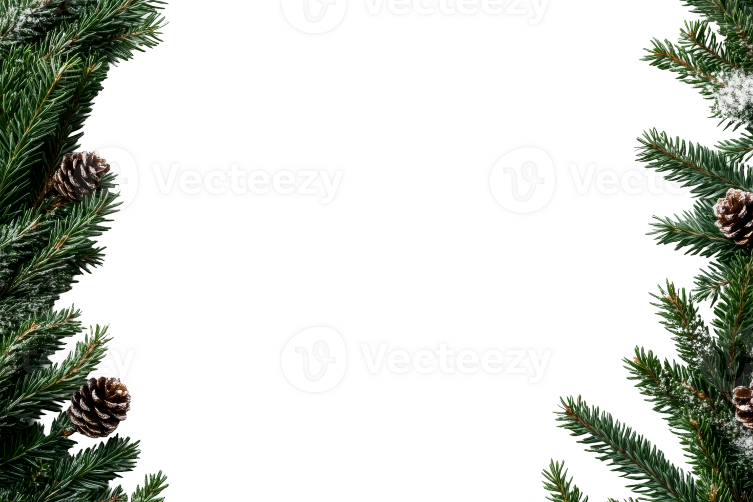 Pine branches with cones for holidays png