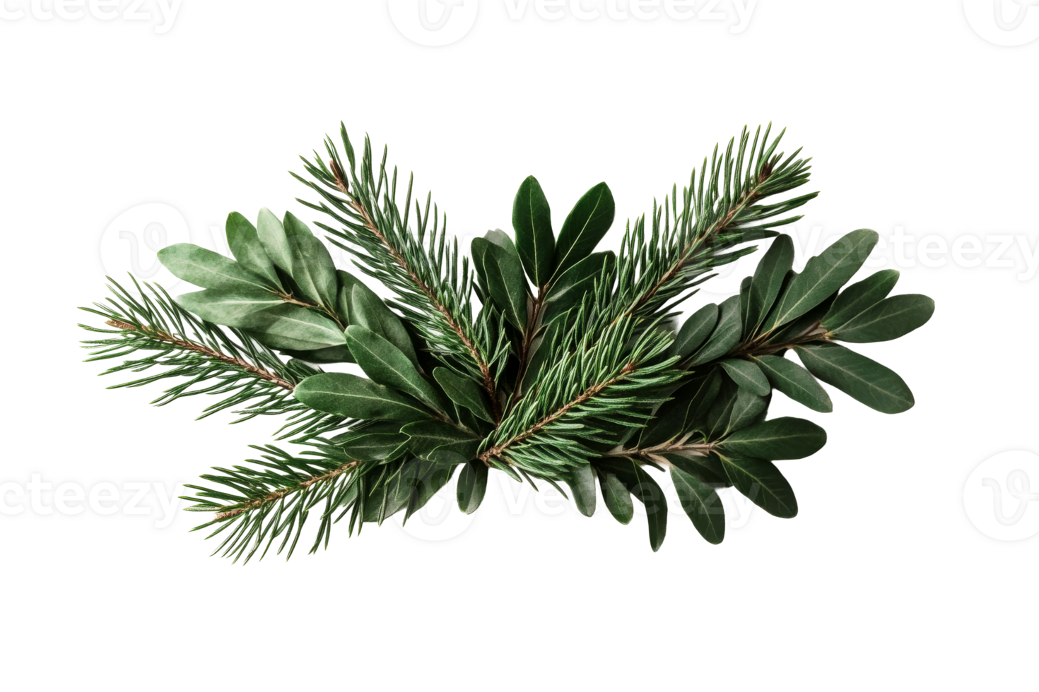 Green foliage arrangement with diverse leaves png