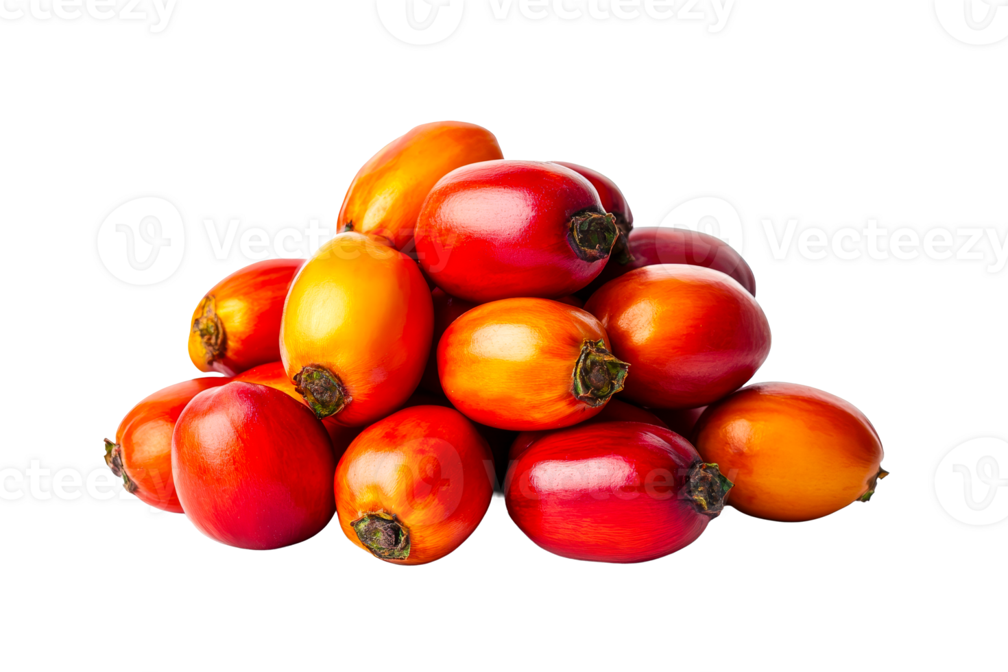 Fresh palm oil fruits on clear bg png