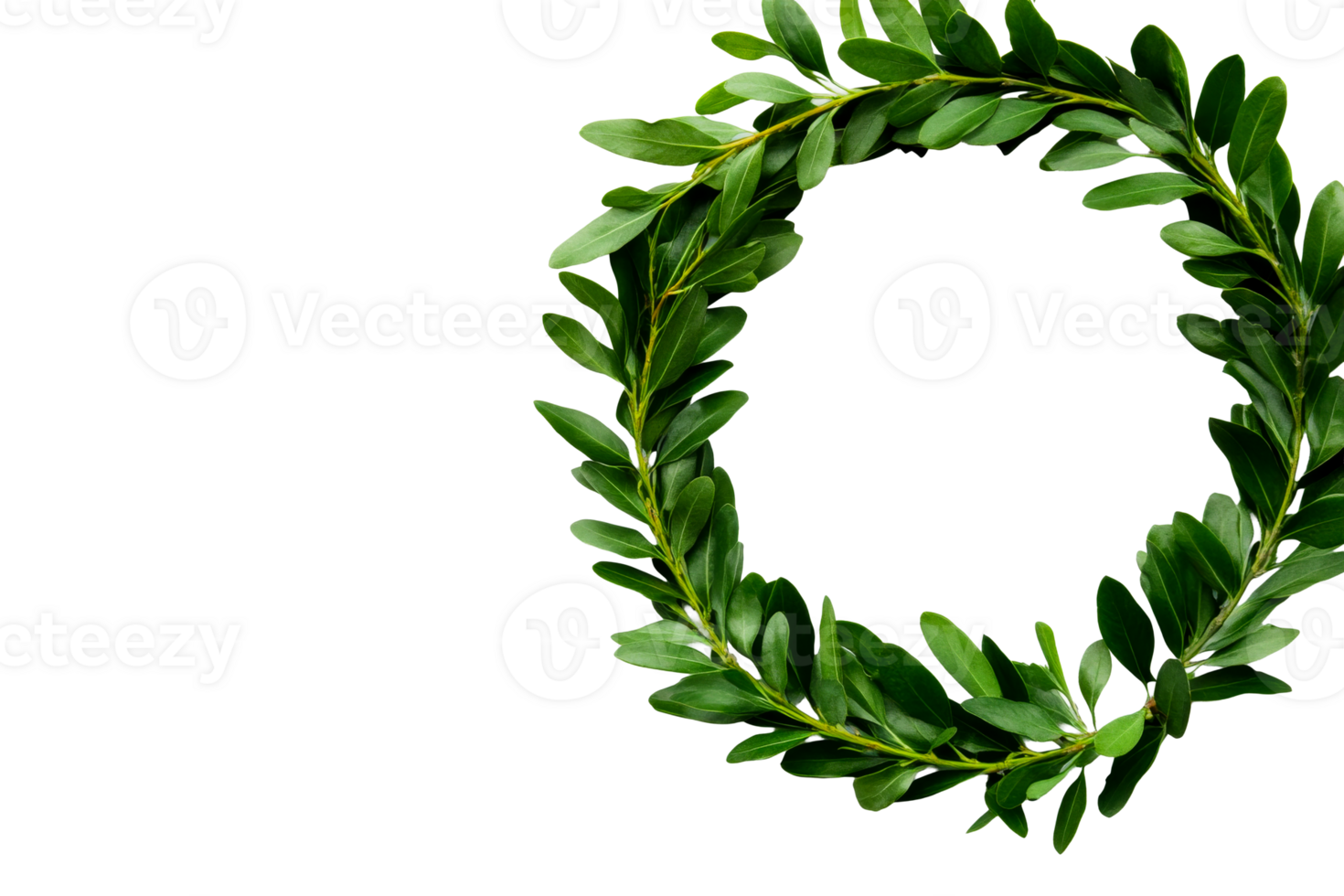 Circular green wreath made of fresh leaves png