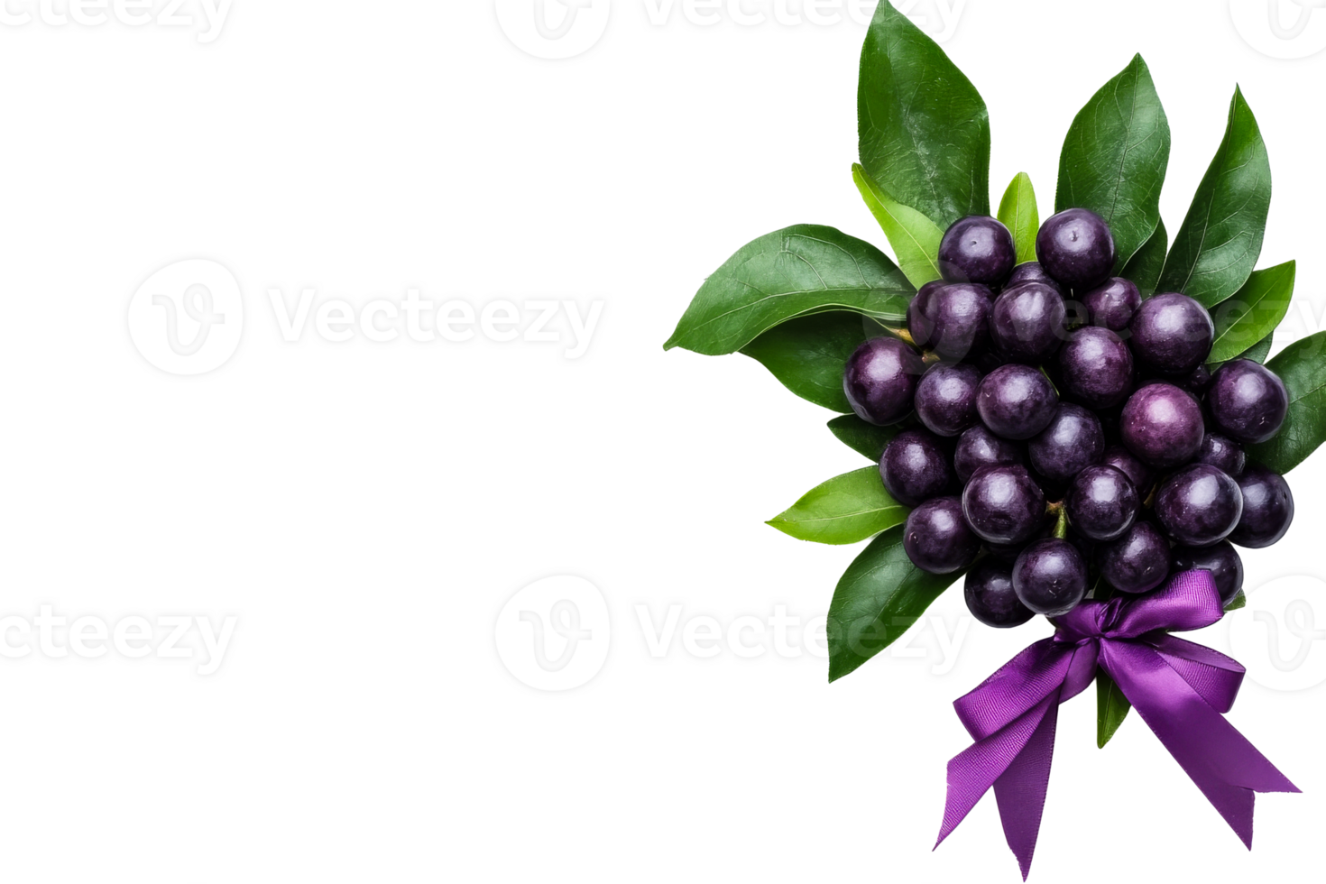 Bunch of fresh blueberries with leaves and ribbon png