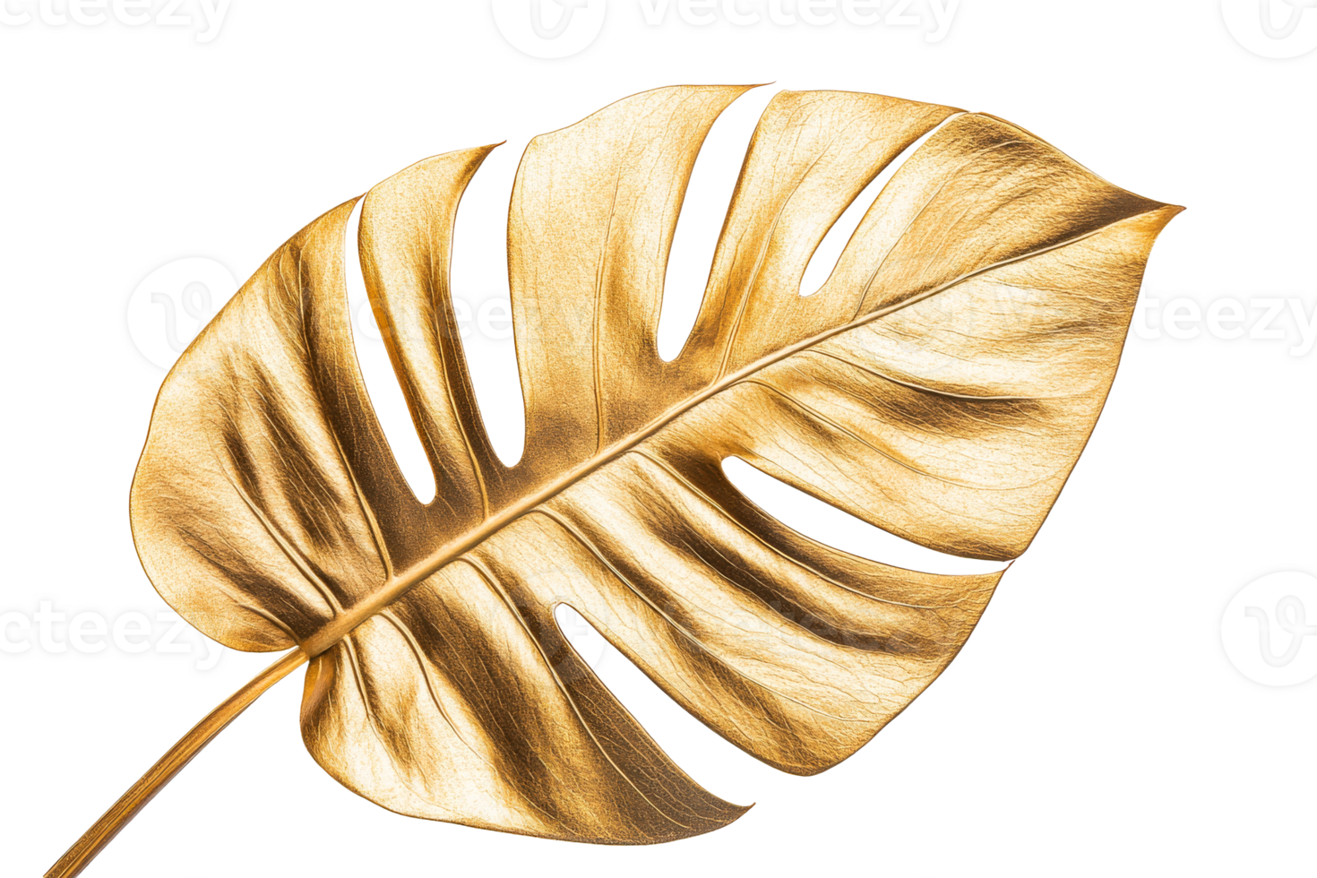 Golden monstera leaf with transparent background png