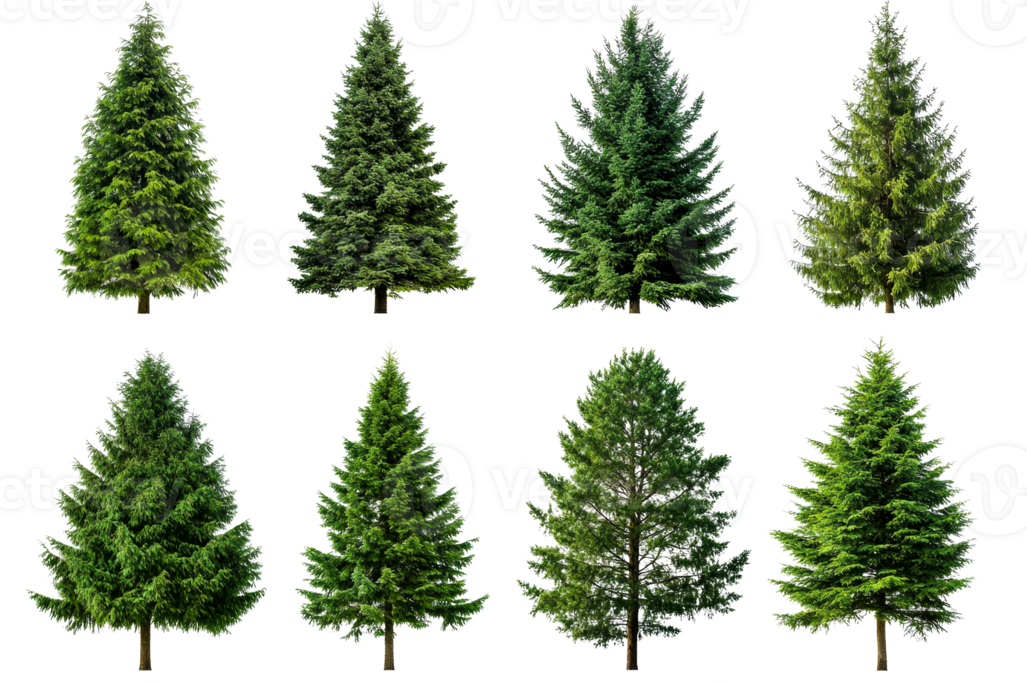 Green trees on clear background png