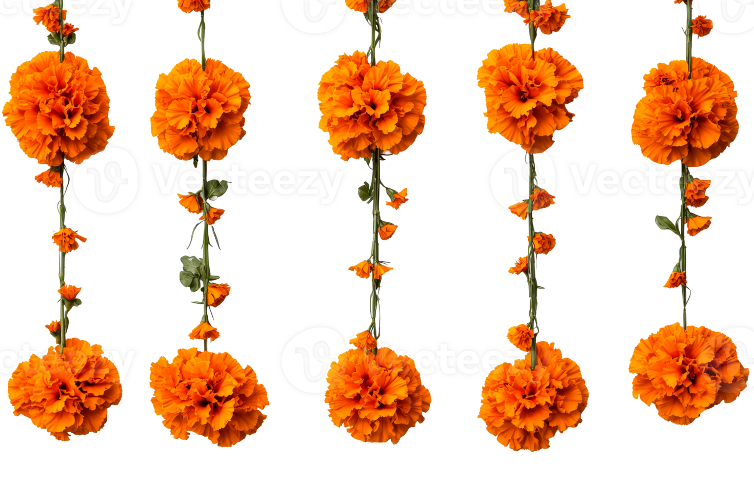 Beautiful marigold garlands for festive decoration png