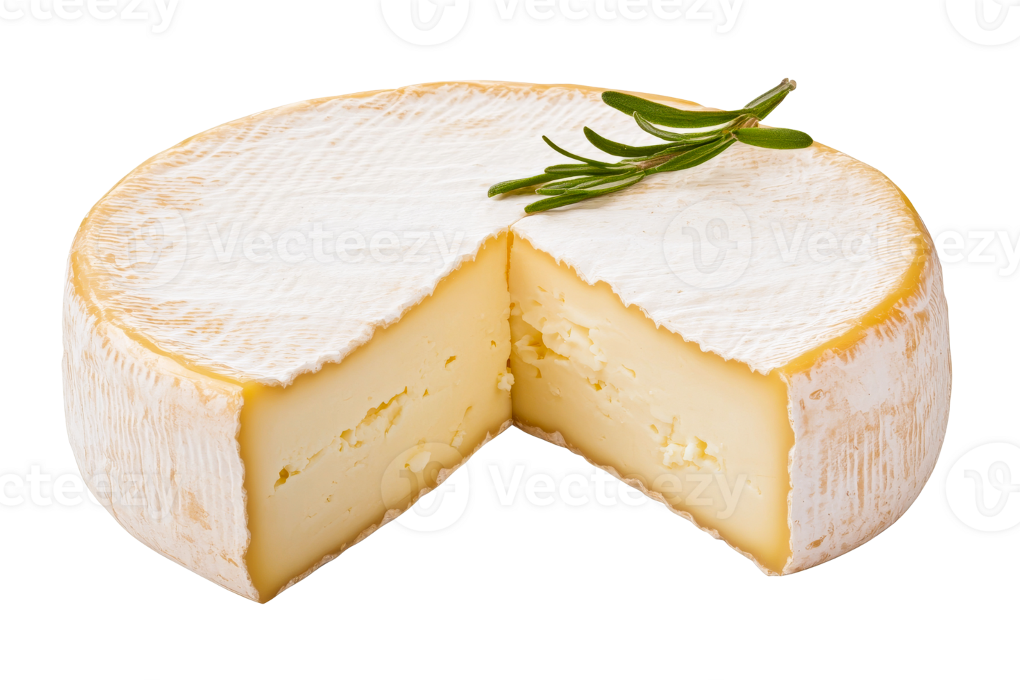 Creamy cheese wheel with a sprig of rosemary png