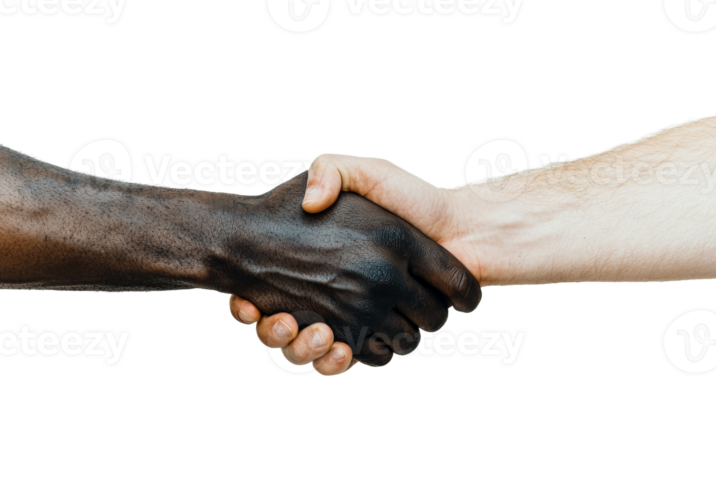 Unity in a diverse handshake png