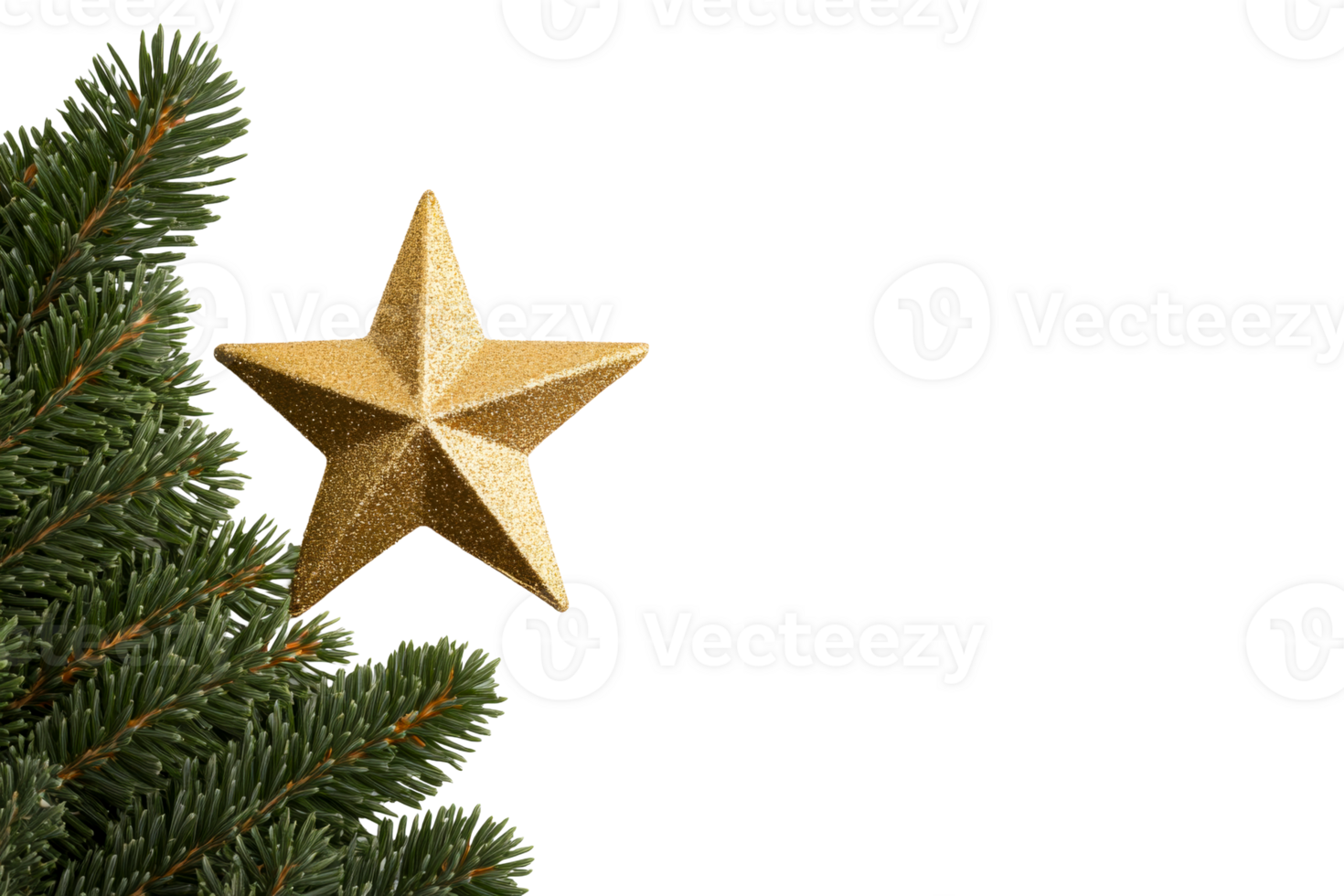 Evergreen branch and gold star ornament, decoration, holiday background, cut out transparent png