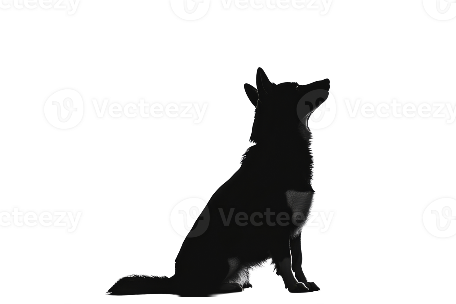 Silhouette of Shepherd Dog Sitting and Looking Up, cut out transparent png