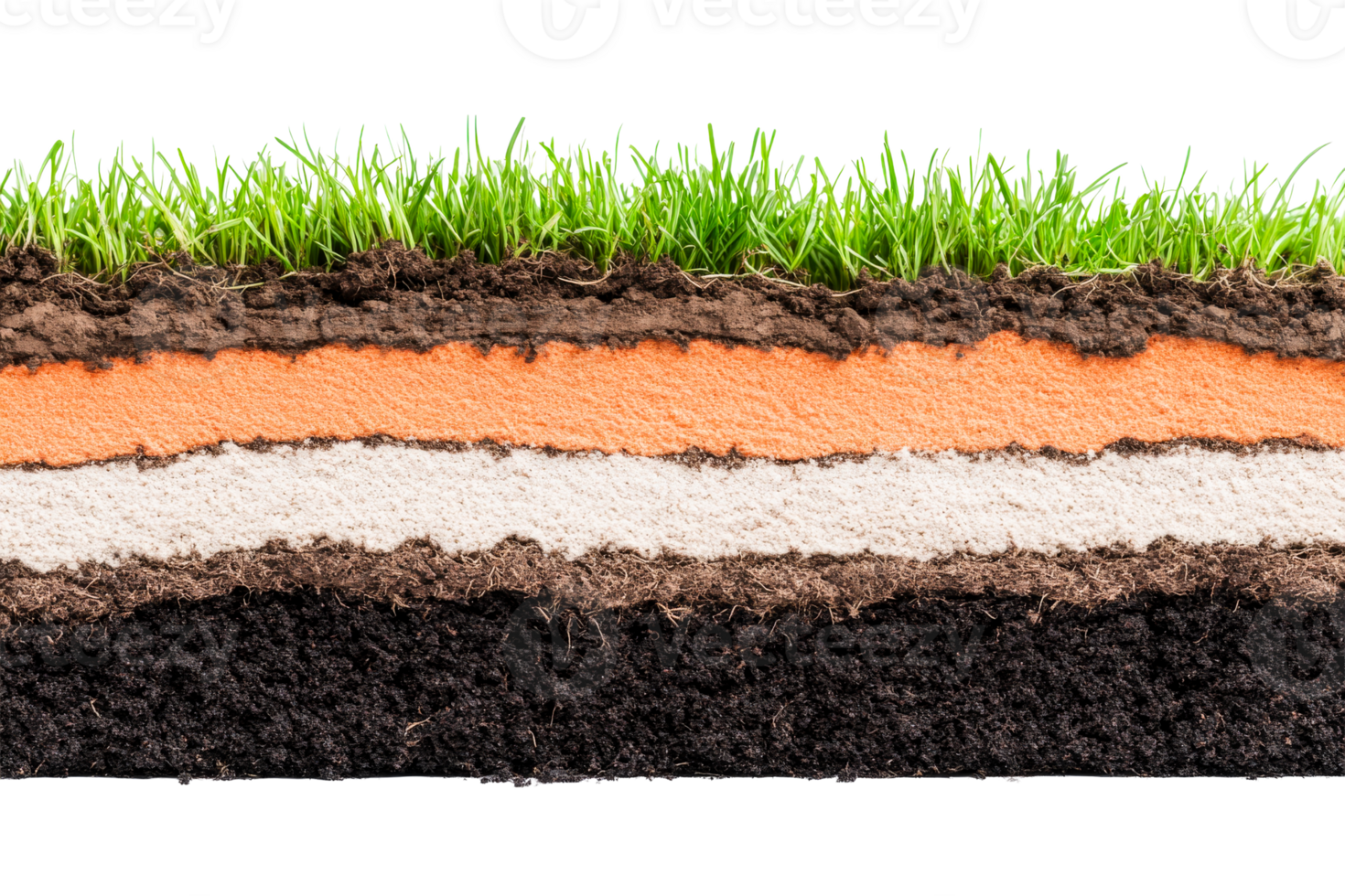 Soil profile showing layers with grass, section, ground , cut out transparent png