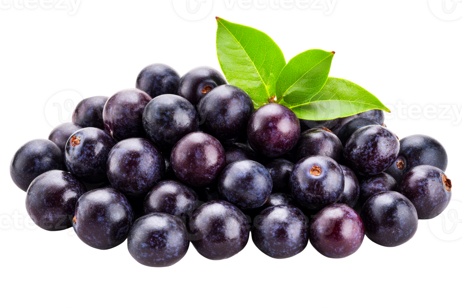 Pile of fresh ripe jaboticaba fruits with green leaves, cut out transparent png