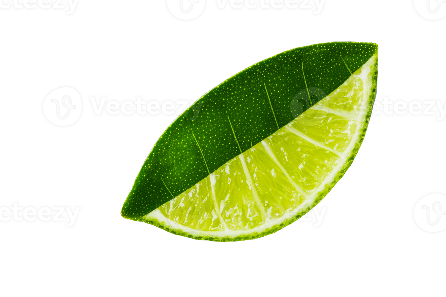 Hybrid Slice of Lime and Leaf Combining Two Textures, cut out transparent png