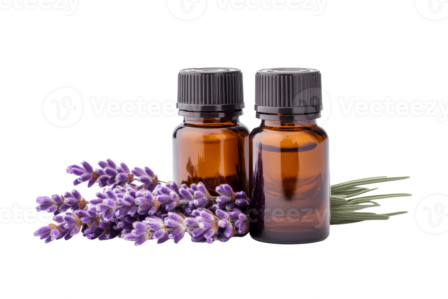 Two brown bottles and lavender flowers, natural spa treatment, cut out transparent png