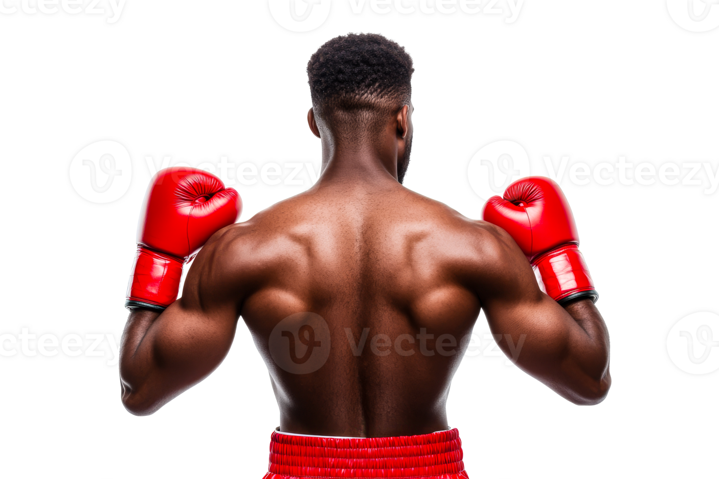 Muscular Boxer Posing with Red Gloves, Back View, Cut Out Transparent png