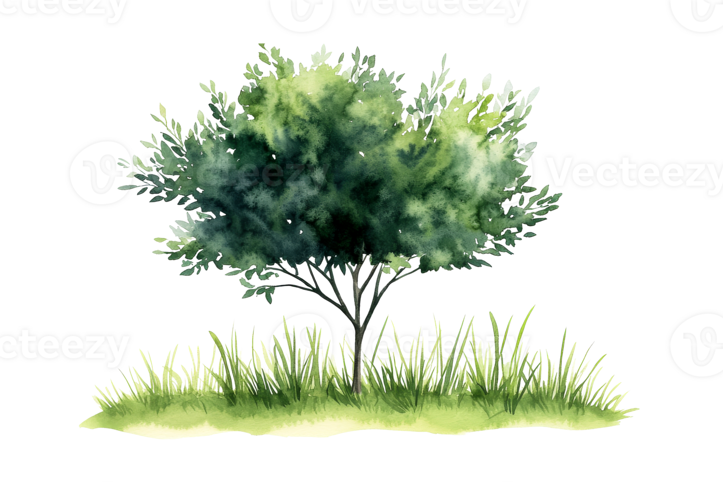 Watercolor painting of tree and grass on black background, cut out transparent png