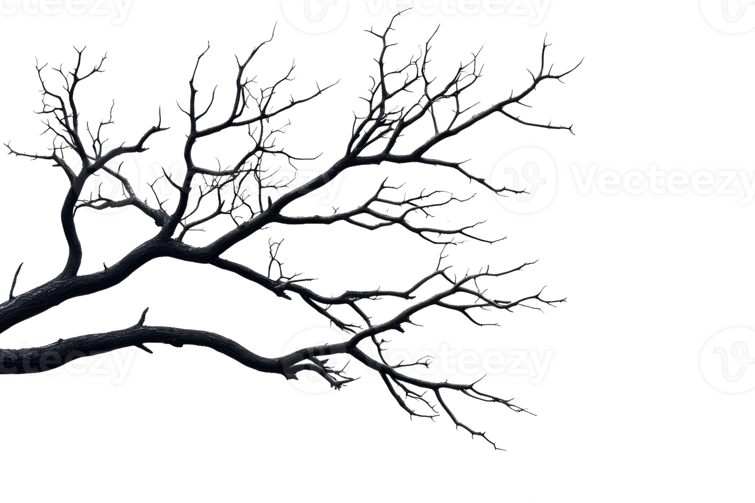 Black branches with abstract white figures art, cut out transparent png