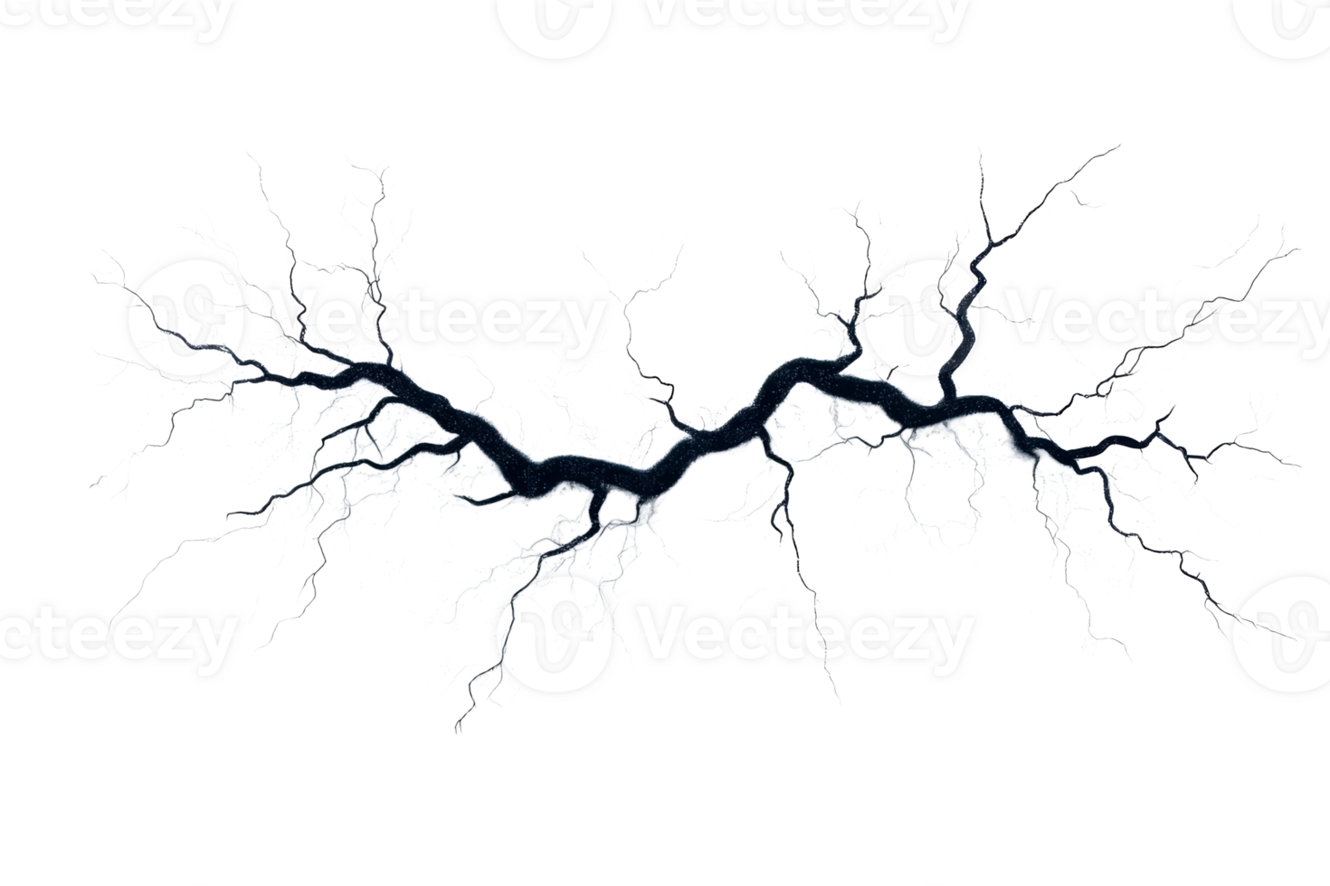 Crackle structure with many branches and split end, cut out transparent png