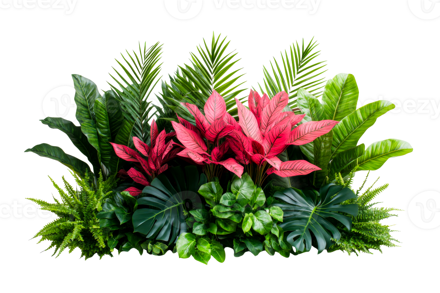 Lush Tropical Foliage Display with Vivid Colors, cut out transparent png