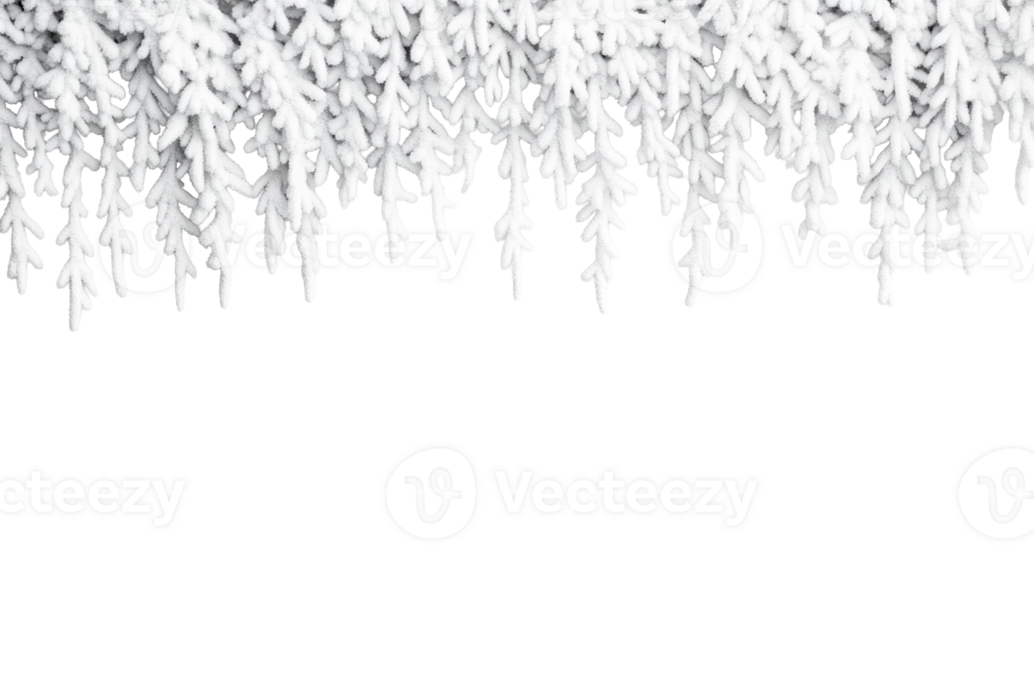 Snowy branches with black background, cut out transparent png