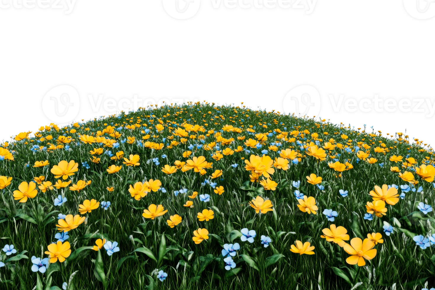 Meadow with yellow and blue flowers on hill, grassy field, cut out transparent png