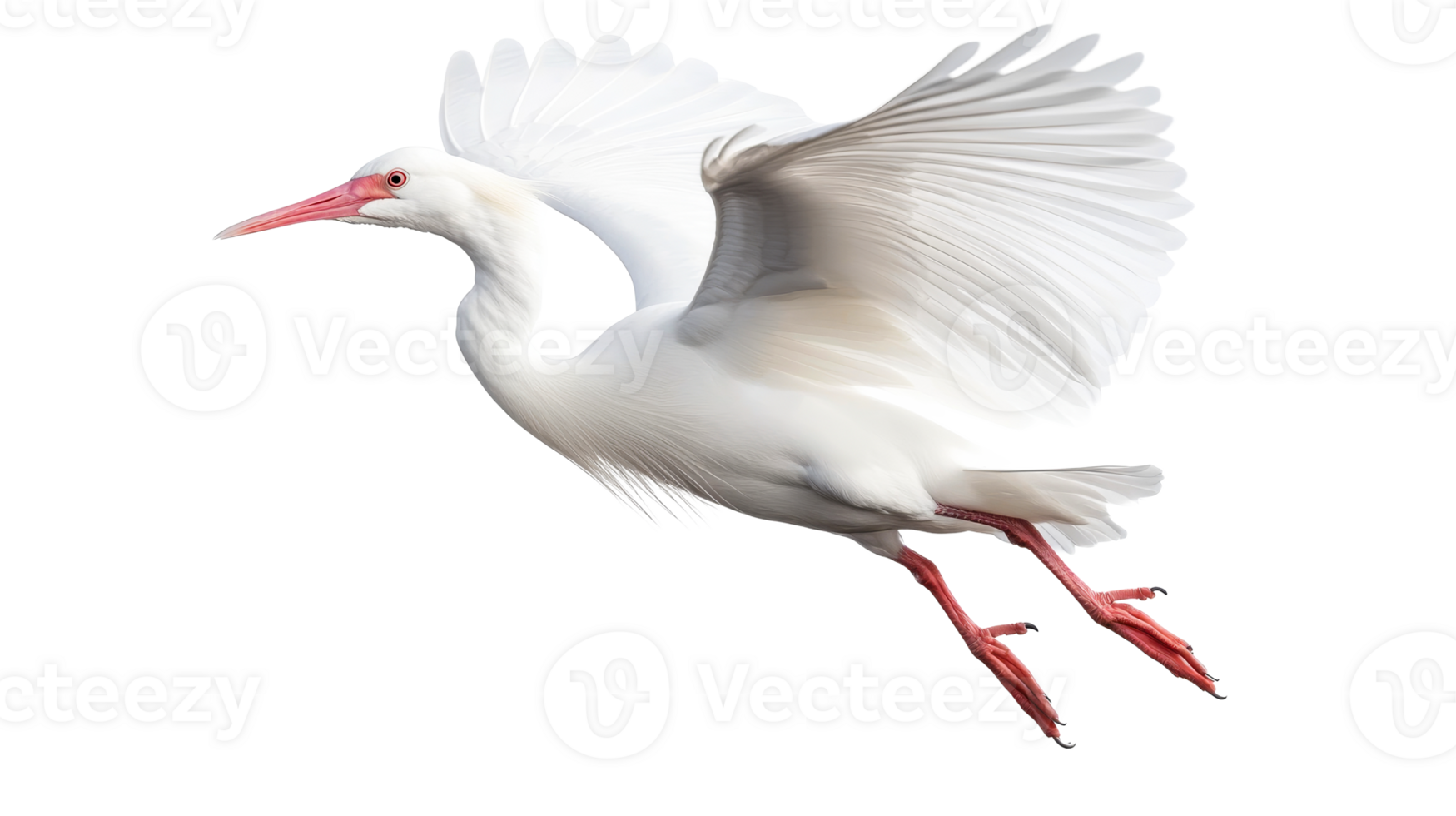 Heron in flight spreading its wings, cut out transparent png
