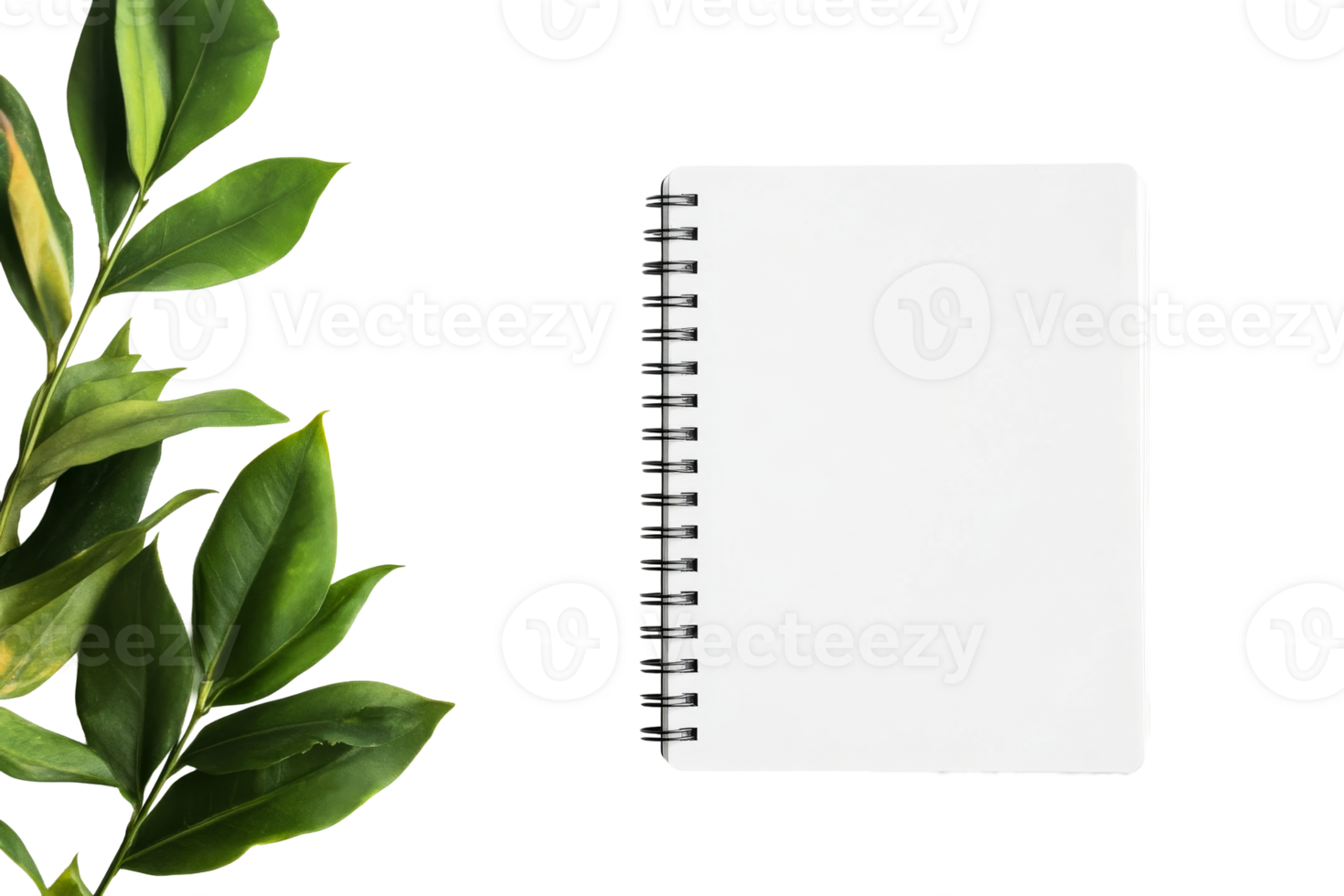 Blank spiral notepad with green leaves on black background, cut out transparent png