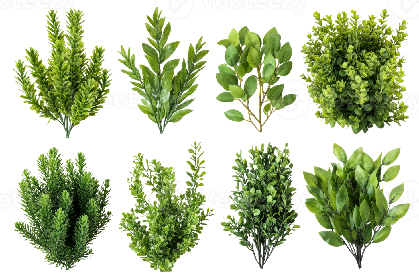 Assorted lush green plants, greenery botanical set, cutout transparent png