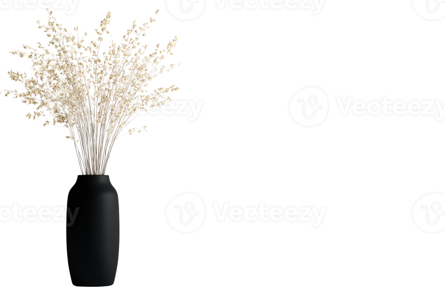 Elegant arrangement of dried beige flowers in black vase, cut out transparent png