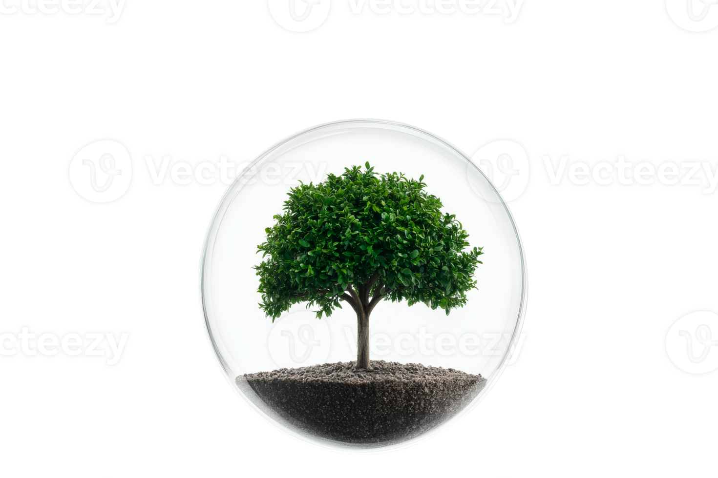 Tree in glass, nature conservation concept design, cut out transparent png