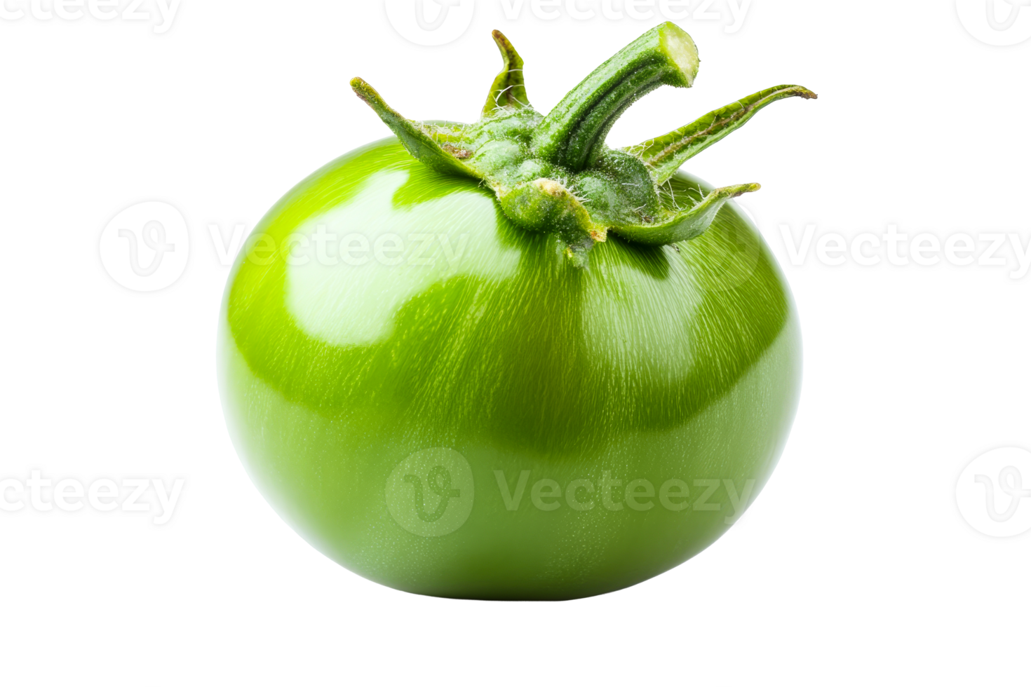 Green tomato, unripe fruit, isolated, close up, organic, raw , cut out transparent png