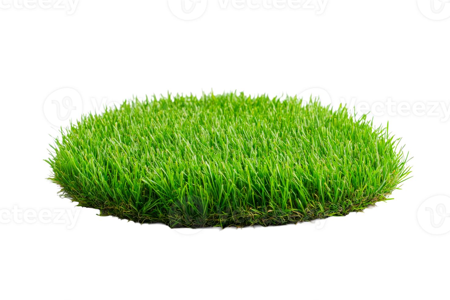Lush green grass island on black backdrop, cut out transparent png
