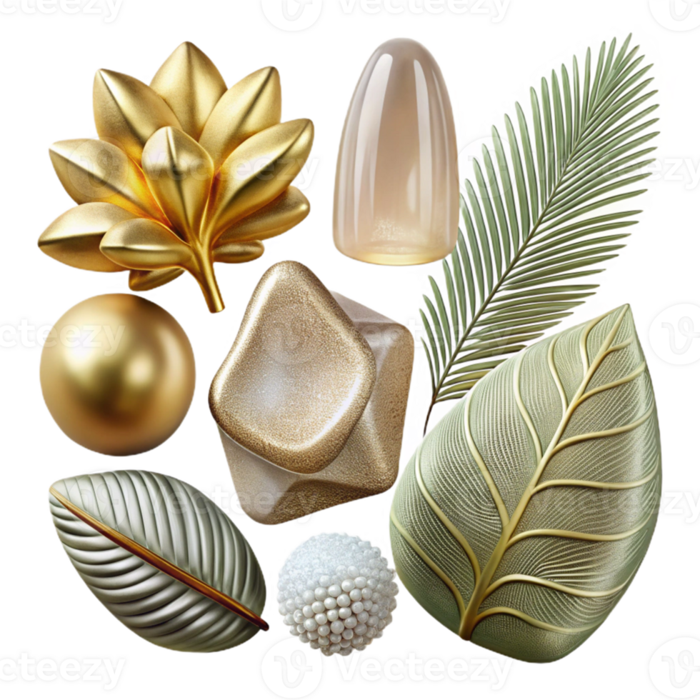 extraordinary traditional Botanical Illustration Set Transparent for Design Resources detailed png