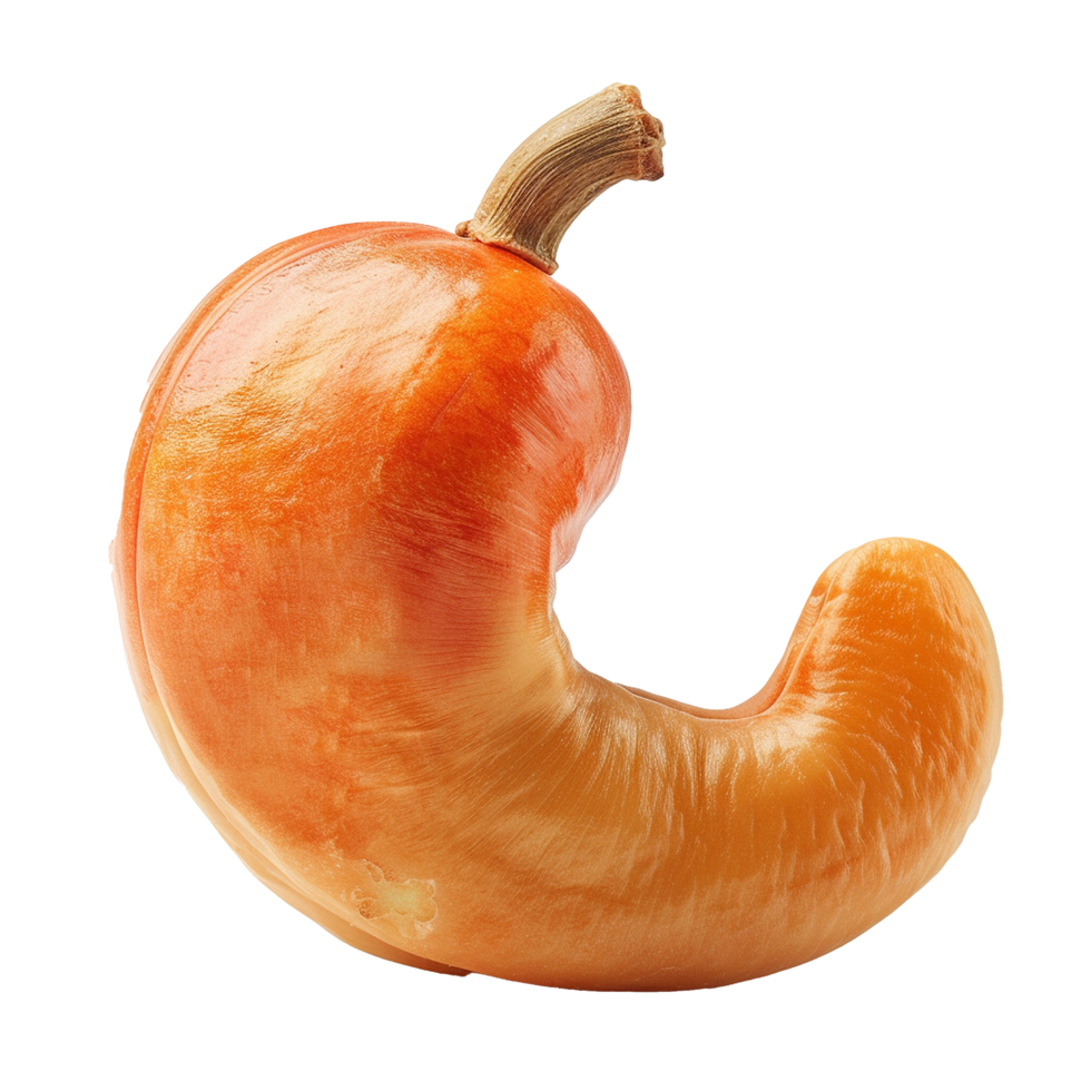 A Single Roasted Cashew Nut with a Unique Shape and Rich Orange Hue png