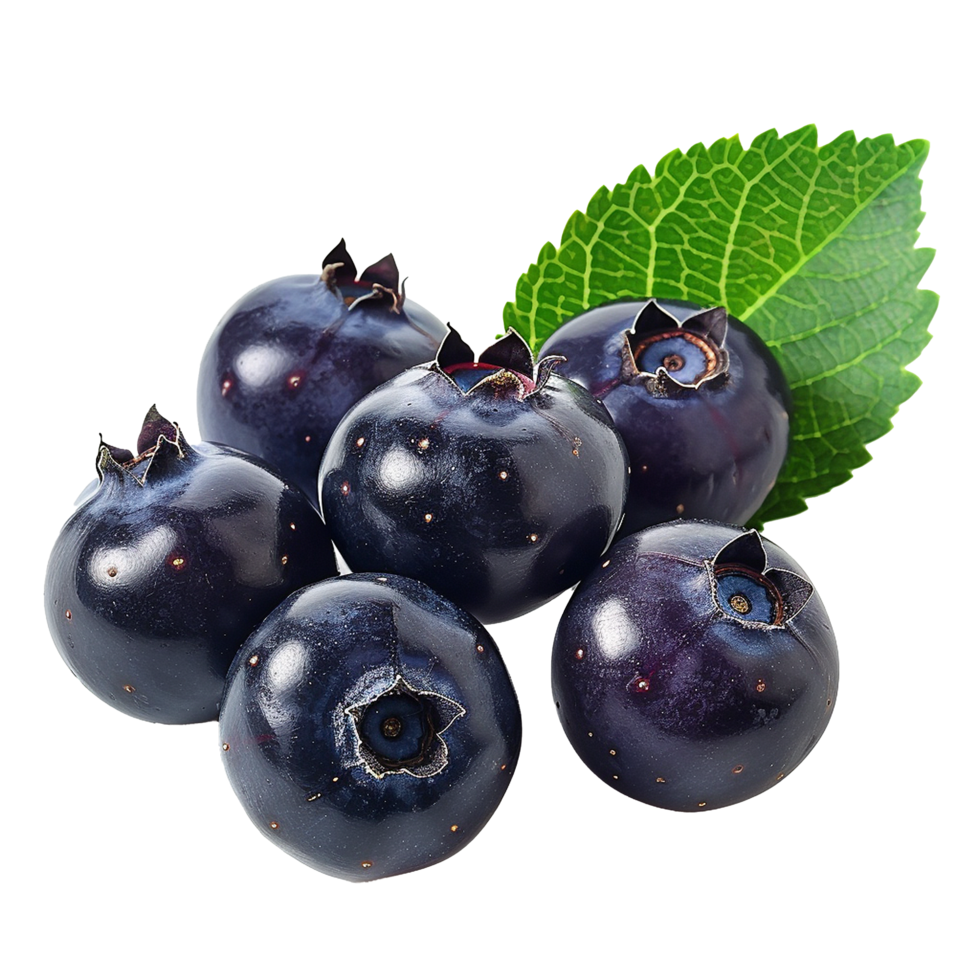 Closeup of Freshly Picked Blueberries with Green Leaf png