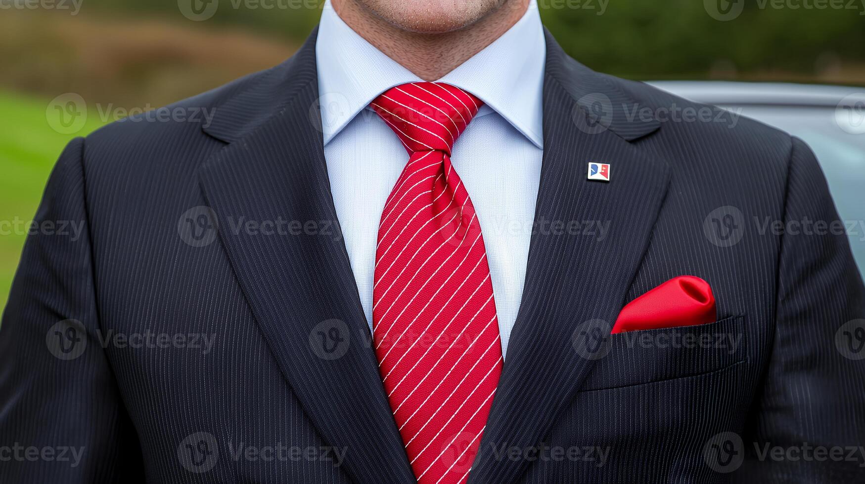 Close Up of Man in Dark Suit with Red Patterned Tie and Red Pocket Square photo