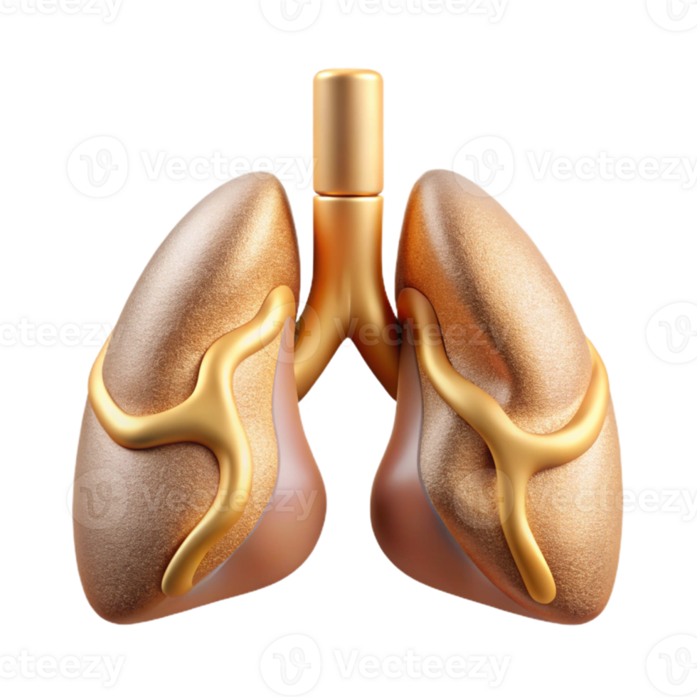 extraordinary vintage Lung Respiratory System Illustration Cutout for Healthcare Publications high resolution png