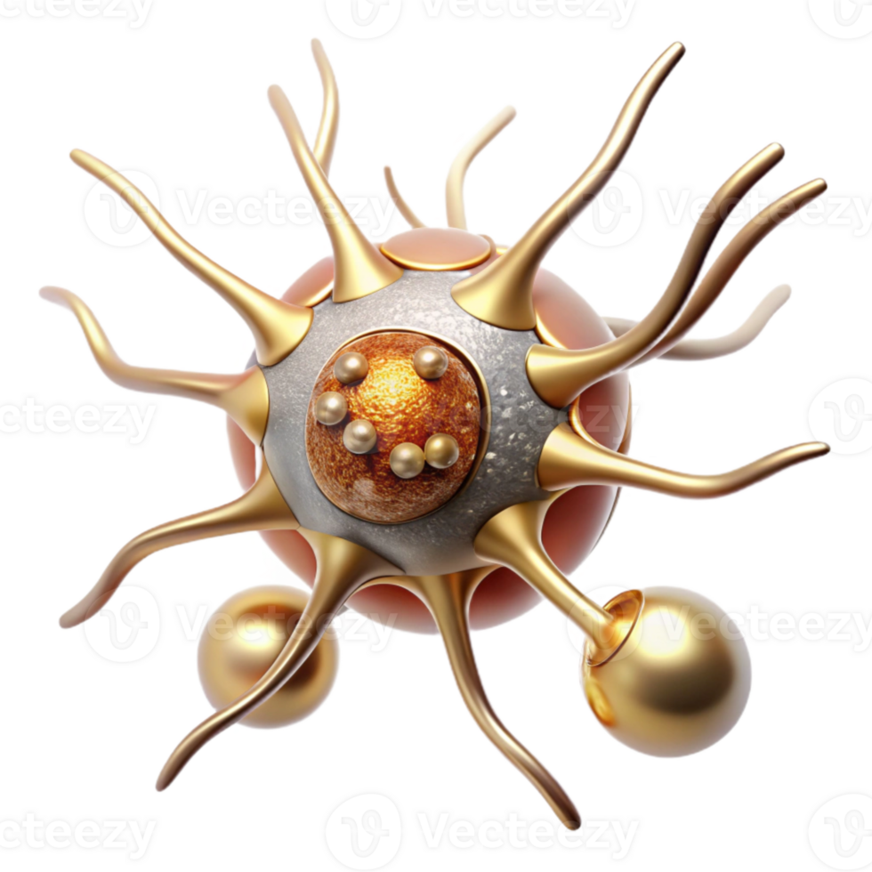 stunning artistic Nerve Cell Diagram Transparent Neurology Illustration authentic png