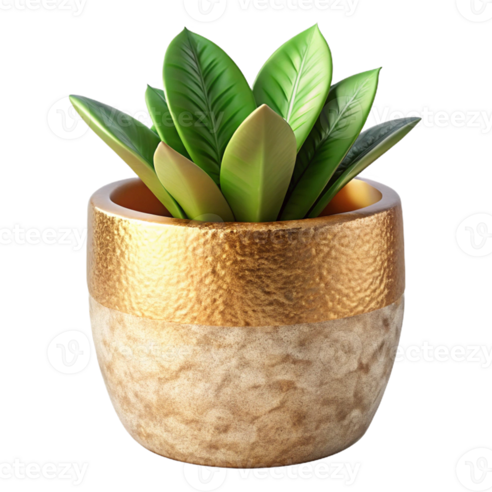 dramatic traditional Plant Pot Gardening Container Isolated for Plant Shop Ecommerce high quality png