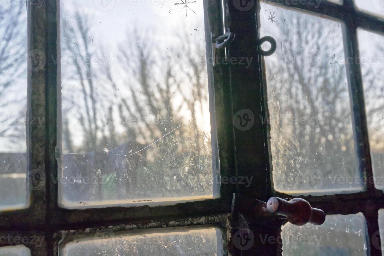 Old Dirty Window with Rusty Latch Overlooking Trees photo