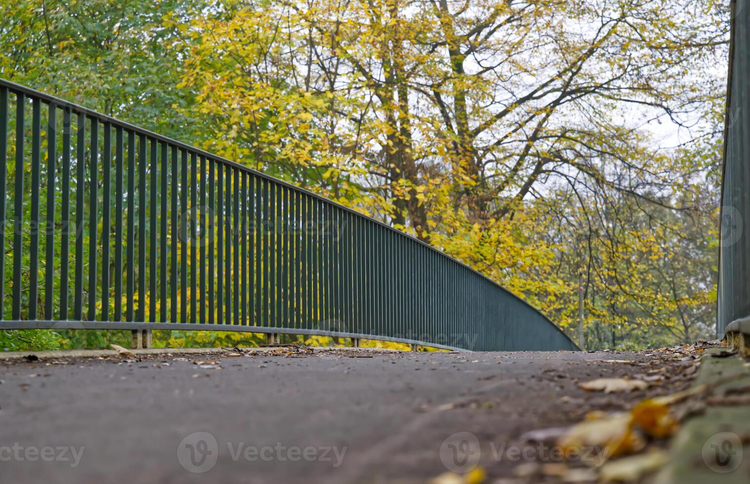 Curved Pedestrian Bridge in Autumn Park photo