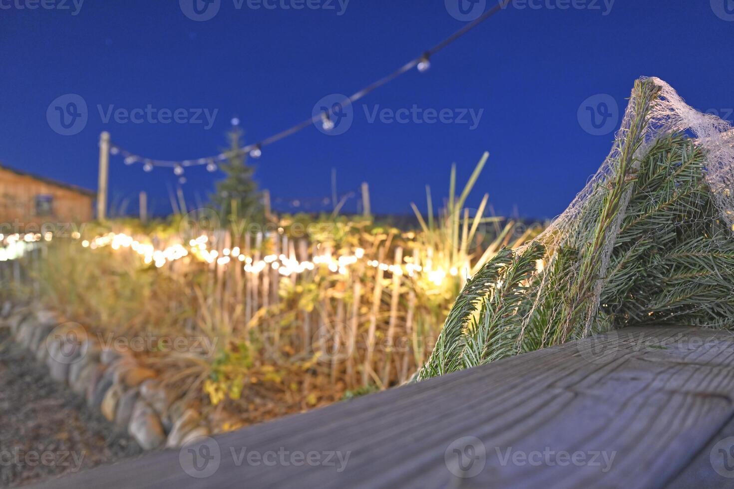 Rustic Outdoor Evening with String Lights photo