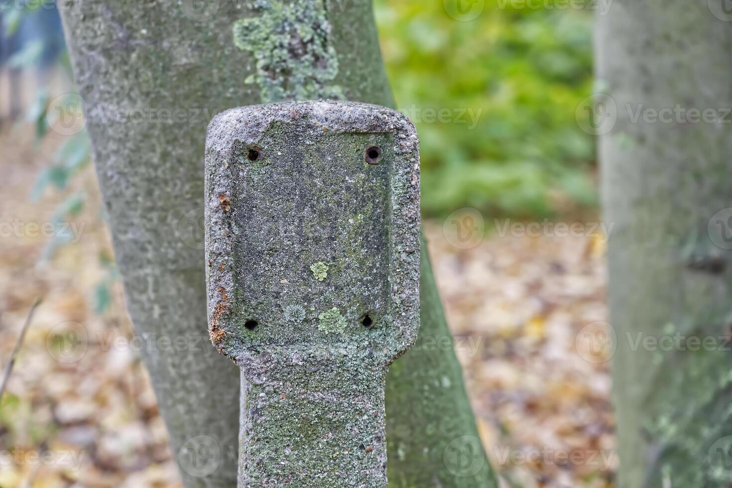 Weathered Metal Signpost in Autumn Forest photo