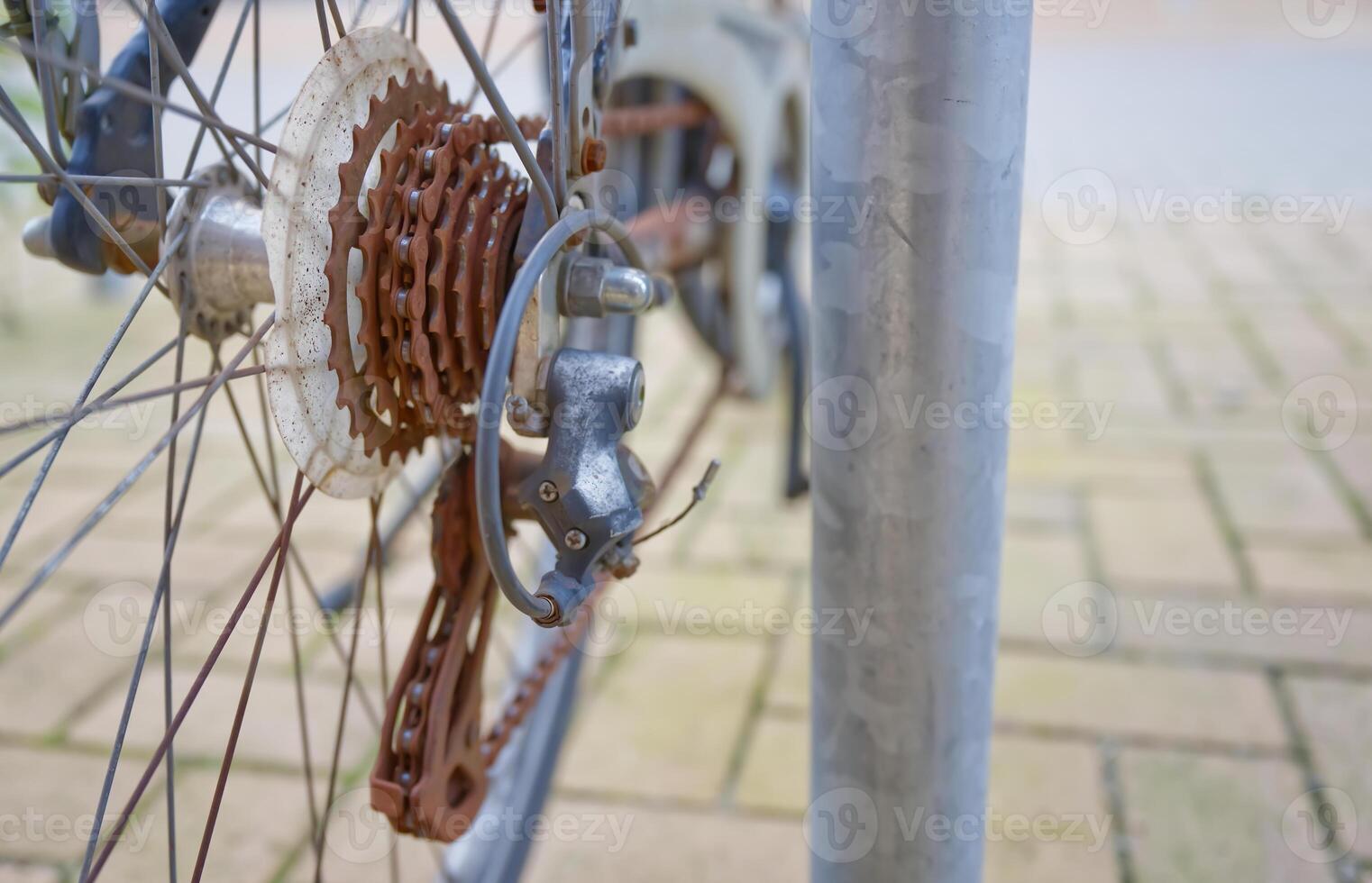 Close-Up of Rusty Bicycle Gear and Chain photo