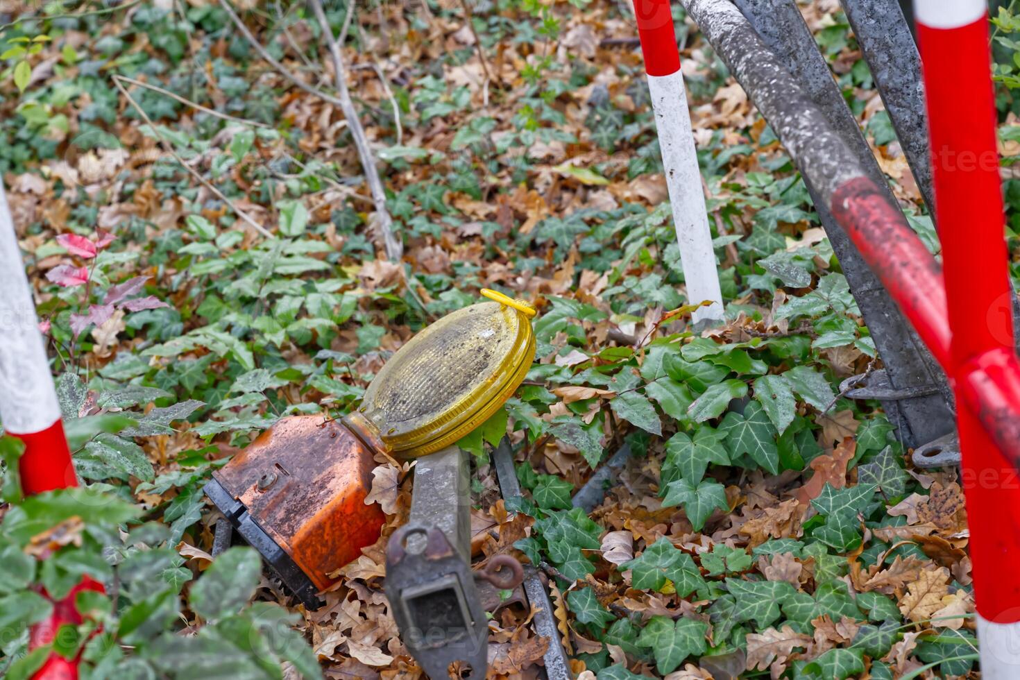 Yellow Construction Light Amidst Autumn Leaves photo