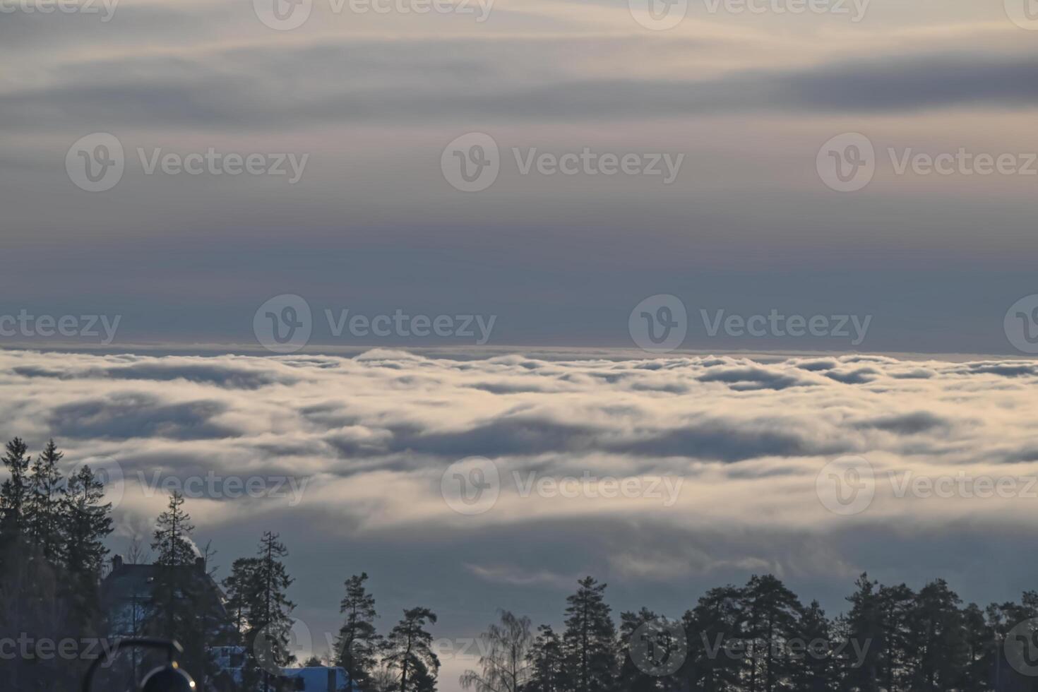 Serene Cloudy Landscape with Silhouetted Trees photo