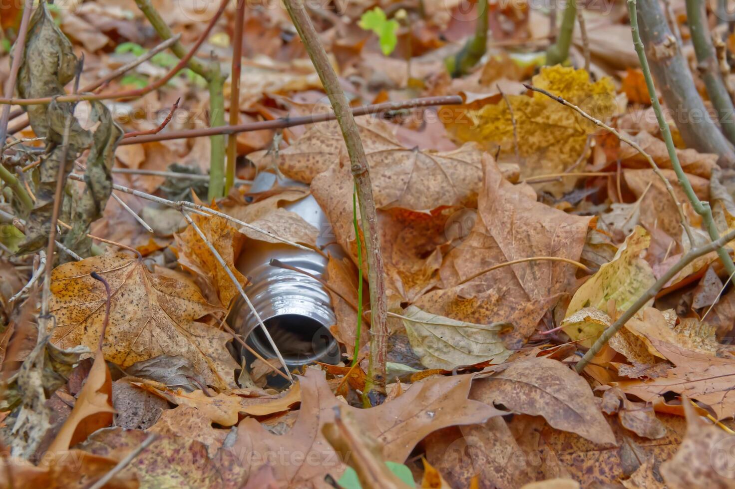 Silver Pipe Among Autumn Leaves photo