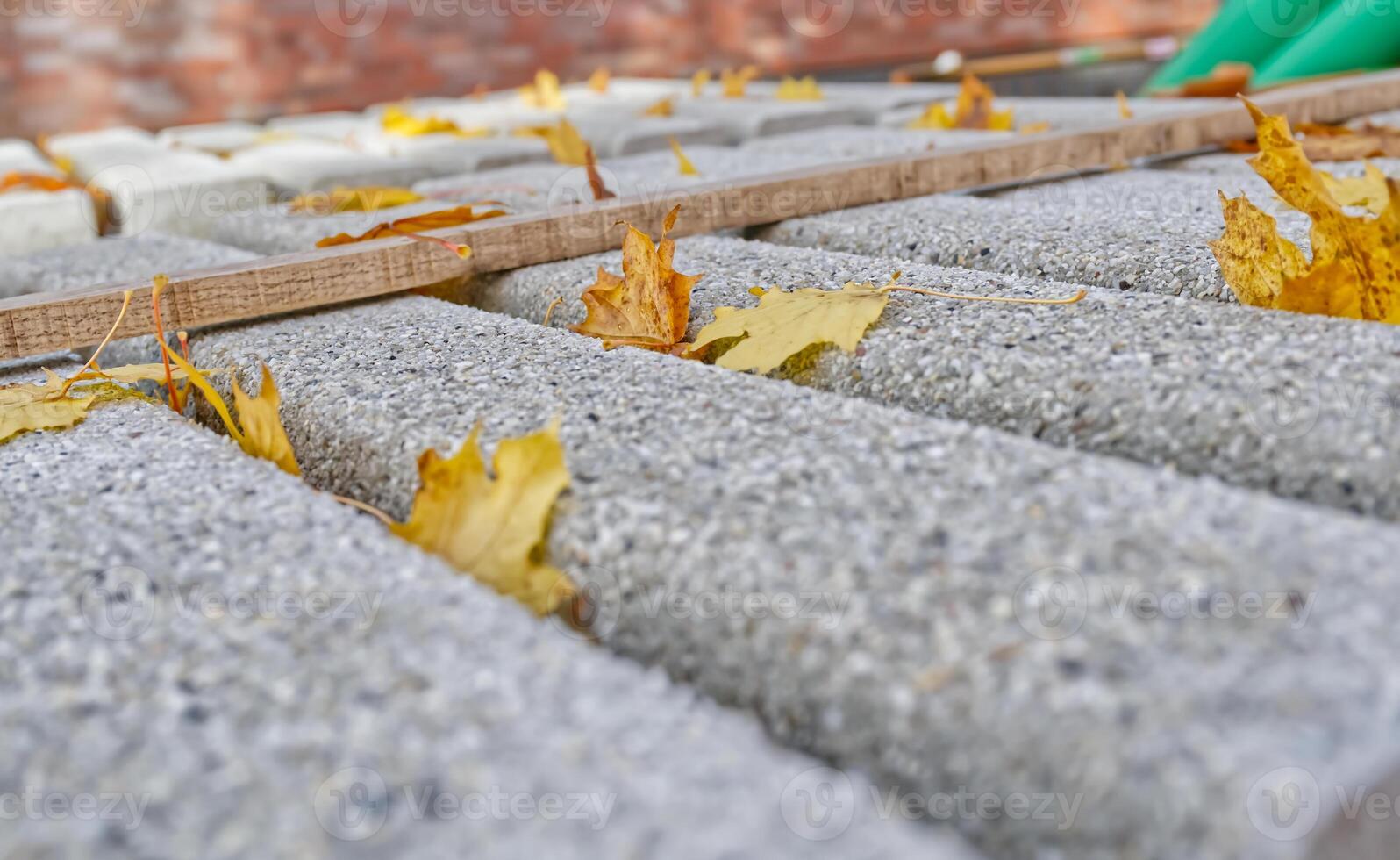Concrete Blocks with Autumn Leaves photo